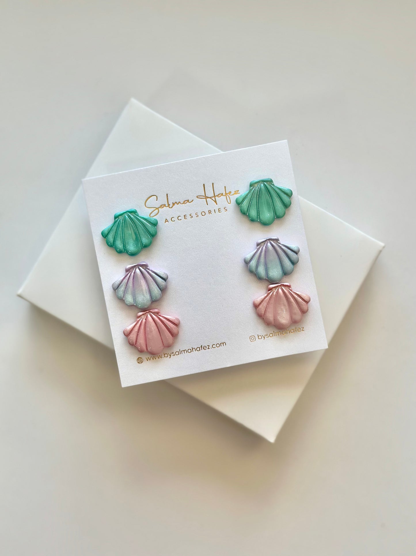 Seashells set